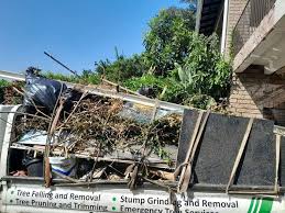 Best Yard Waste Removal in Bartonville, TX